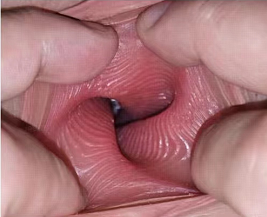 TAISEN塔利亚飞机杯评测:一款能让你’成长’的慢玩杯插图1 TAISEN塔利亚飞机杯评测:一款能让你’成长’的慢玩杯插图1